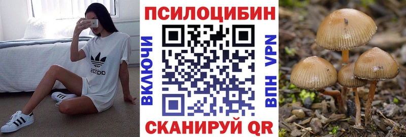 Галлюциногенные грибы прущие грибы маркетплейс телеграм Тихорецк